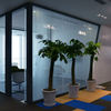 Manufactory Material Soundproof Floor to Ceiling Louvered Transparent Glass Office Partition