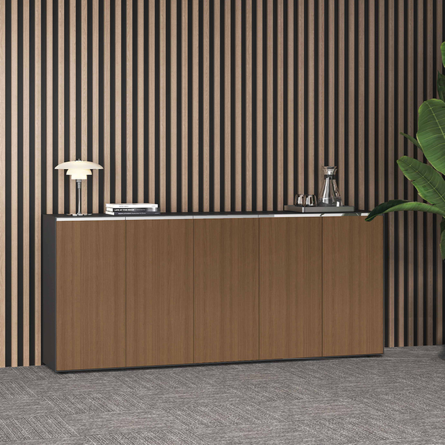 Eco-Friendly Office File Storage Cabinets for Study Hotel Office Building School
