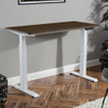 Electric Height Adjustable Standing Desk up and Down Desk Ergonomic Sit to Stand Workstation for Office & Home Use