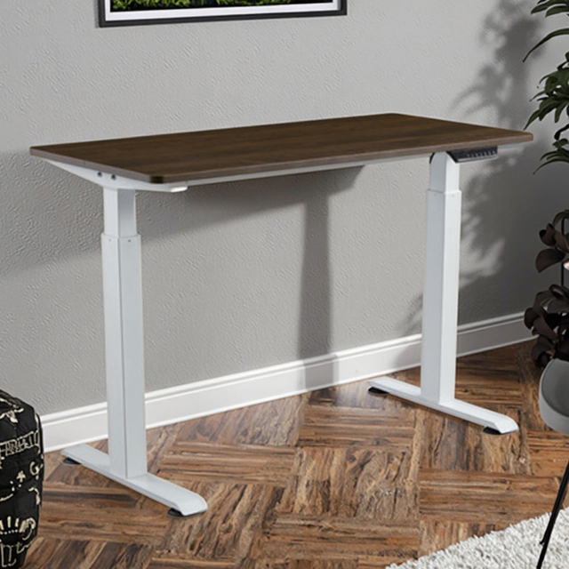 Electric Height Adjustable Standing Desk up and Down Desk Ergonomic Sit to Stand Workstation for Office & Home Use