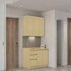 Luxury Bespoke Modular Kitchen Cabinets with Waterproof Finish for Small Apartments and Urban Dwellers