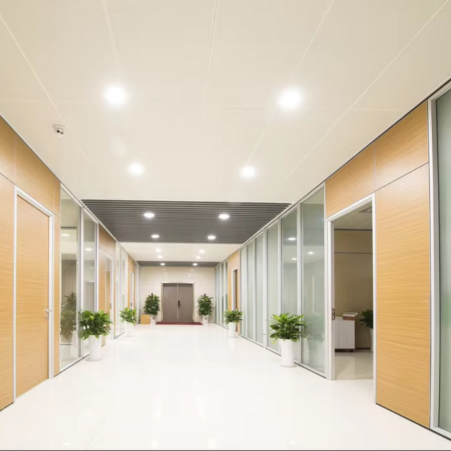 Startup Budget Glass Office Partition for Cost-Effective Space Planning