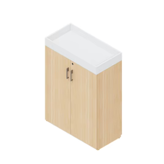 Locking File Storage Cabinet for Confidential Documents Office Home Use