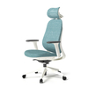 Adjustable Headrest and Armrest of the Seat High Back Mesh Office Chair White with Head Rest