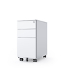 Heavy Duty Fireproof Pulley Wheel 2 Drawer Filing Cabinet Safety Document Storage for Hospital Office School