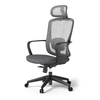 Newly Customized High Elasticity Shaping Sponge Office Rotating Mesh Computer Office Chair