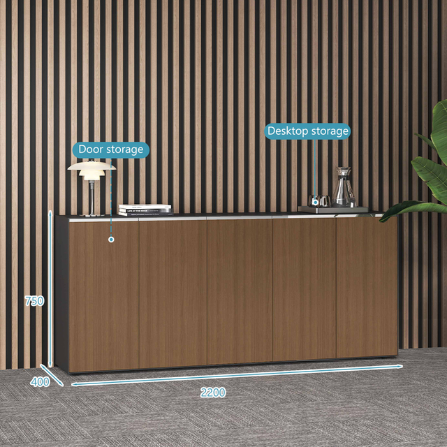 Customized Color Designs Acceptable Filing Cabinets with Safe for Office Study Room