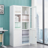 Elegant Glass and Steel Doors File Cabinet Lockable Document Storage Cabinet for Hotel Study Room Office
