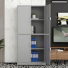 Sturdy 0.5mm Frame 0.35mm Cabinet Steel Steel Locker Steel Master File Cabinets for Home Office Organization