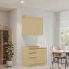 Luxury Bespoke Modular Kitchen Cabinets with Waterproof Finish for Small Apartments and Urban Dwellers