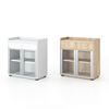Multi Purpose Adjustable Shelves Wood System Records Documents Cabinet for Hotel Reception Corporate Archives