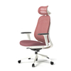 Adjustable Headrest and Armrest of the Seat High Back Mesh Office Chair White with Head Rest