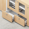 Professional Document Organizer Cabinet for Office Home File Storage