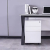 Heavy Duty Fireproof Pulley Wheel 2 Drawer Filing Cabinet Safety Document Storage for Hospital Office School