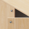 Professional Document Organizer Cabinet for Office Home File Storage