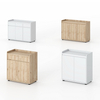 Multi Purpose Adjustable Shelves Wood System Records Documents Cabinet for Hotel Reception Corporate Archives