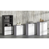 Durable & Secure Storage Solutions 0.6mm Steel Master File Cabinets for Home Office School