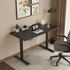 Professional up and Down Desk Electric Standing Desk for Home and Office Use with Quiet Motor and Programmable Height Settings