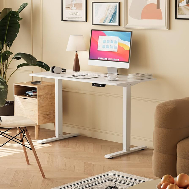 Professional up and Down Desk Electric Standing Desk for Home and Office Use with Quiet Motor and Programmable Height Settings