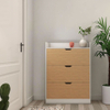 Slim Design Shoe Rack Organizer Perfect Slim Shoe Cabinet for Small Hallway Spaces