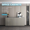 Customized Color Designs Acceptable Filing Cabinets with Safe for Office Study Room
