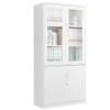 Elegant Glass and Steel Doors File Cabinet Lockable Document Storage Cabinet for Hotel Study Room Office
