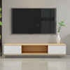 Modern TV Stand for Apartments Hotels Custom Size Living Room Storage Cabinet OEM Service Available