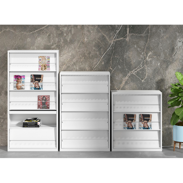 Custom Designs Acceptable Library Study Room Bookshelf Office Steel Filing Display Cabinet