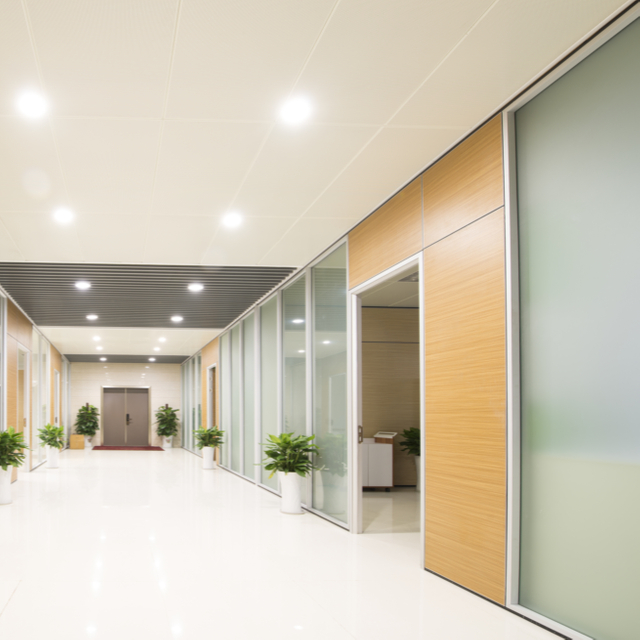 Privacy Smart-Tinting Glass Wall for Office Executive Suites