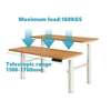 Up and Down Desk Smart Desk 3-Section Electric Adjustable Dual-Seat Workspace Ergonomic Workstation Dual-Seat Adjustable Desk